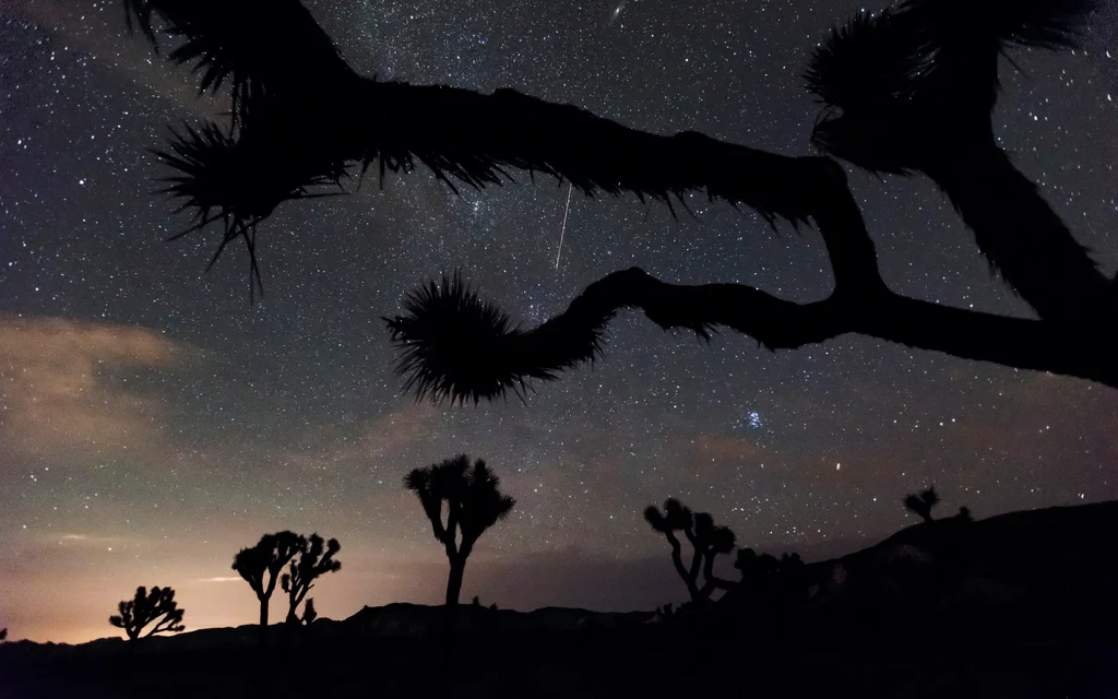 Orionid Meteor Shower 2026: How to Catch Halley’s Comet Debris at Its Peak This Week